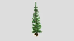 big-tree