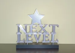 ESCULTURA - TROFEO PARA REGALAR