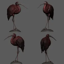 Ibis - 3d printable files