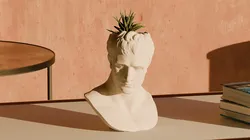 Napoleon Bonaparte Pot Plant - Home Decoration