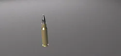 .308 Winchester Round