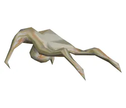 Baby Headcrab from Half-life