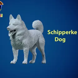 Characters & Creatures STL Download - Schipperke Dog model- Little Captain Dog - 3D printby Rubber Duck