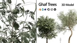 Ghaf trees of Emirates