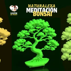 BONSAI 3D - NATURE & MEDITATION