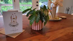 Flower pot/vase