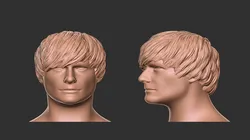 Hair 47 3D Print Model in Man 457132