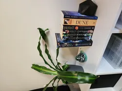 Icosahedron Bookend or Plant Pot