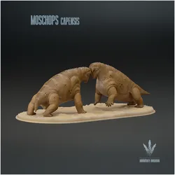 Moschops capensis : Fighting