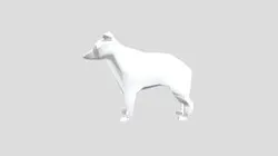 Perro