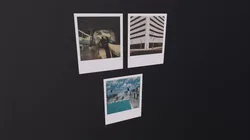 Polaroid Photos
