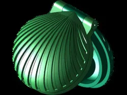 shell