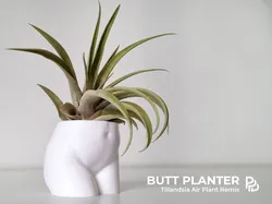 Tillandsia Air Plant Butt Planter Remix