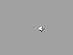 8 Sided Die