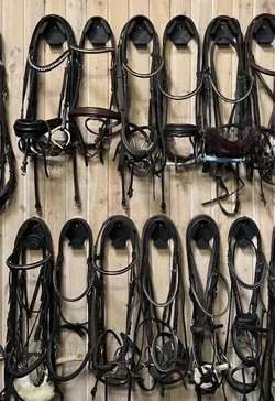 Bridle hook