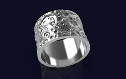 Moon ring 3D Print Model in Rings 435642