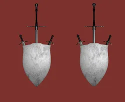 Sword shield