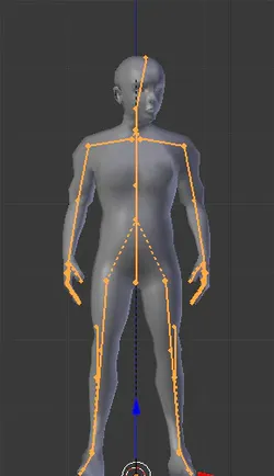 Rigged Male Human