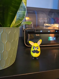 Angry Funny Bunny