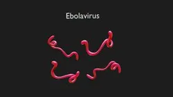 Ebola Virus
