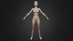 Female Body