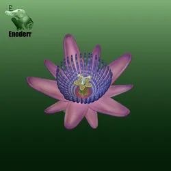 Fișiere pentru imprimante 3D | Fișier 3MF | Passiflora quadrangularis flower