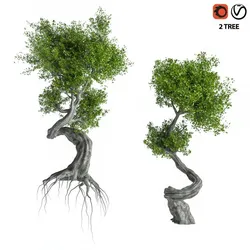 2 Stylized Tree