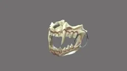Animal Teeth Mask