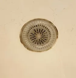 Bathtub Drain Strainer