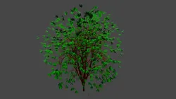 Bush