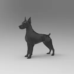 doberman