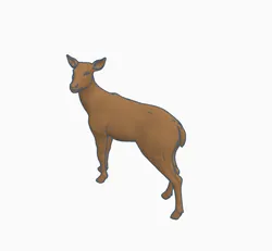Doe deer