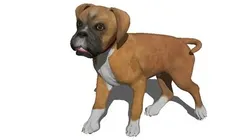 Dog 1