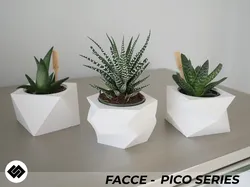 Facce Series Triple Planter Set