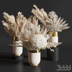 Flower Set 010 Pampas