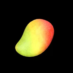 Mango Free