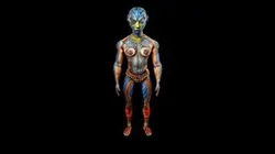 Meshy body painting David Baker