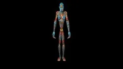 Meshy body painting Samuel Hill