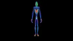 Meshy body painting Samuel Hill