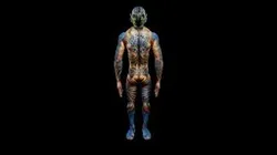 Meshy body painting Thorne Davis