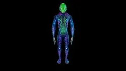 Meshy body painting Thorne Davis