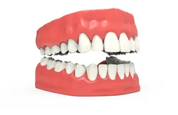 Teeth