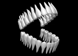 Teeth