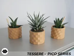 Tessere Series Triple Planter Set