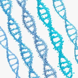 DNA Genetic Molecule