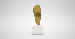 Trophy award conception