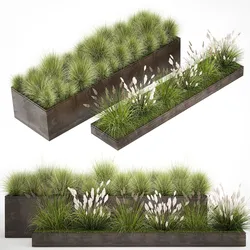 Grass and bushes in a rusty flowerbed 1148