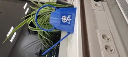 Watering Can with Logo Gieskanne mit Logo
