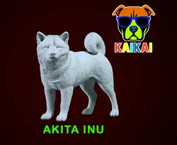 Akita dog - Japanese giant dog - 3D print 3D Print Model in Animals 571818