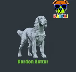 Gordon Setter dog - Gordon the Hound dog - 3D print 3D Print Model in Animals 571999